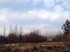 -溱湖国家湿地公园