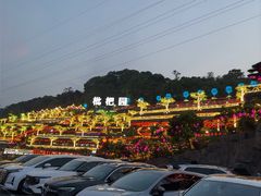 -枇杷园食为鲜火锅(南山店)