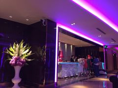 -纯K(打浦桥店)