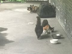 -伯先公园