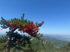 -天津盘山风景名胜区