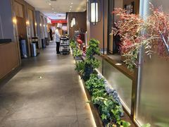 -宏宴·新京菜(望京店)