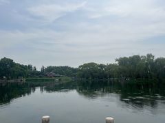 -百脉泉景区