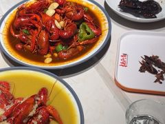 -杨氏青龙虾·羊蝎子(托乐嘉店)