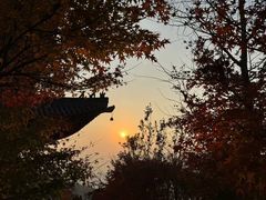 -杭州半山国家森林公园