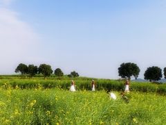 -光明小镇欢乐田园