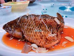 蹦鲤鱼-登瀛楼(鼓楼店)