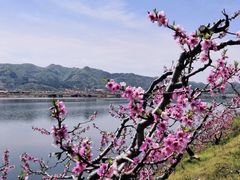 -河口景区