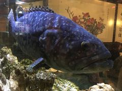 -鱼乐轩海鲜专门店