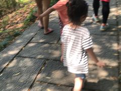 -长兴太湖图影湿地文化园