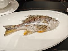 -吴记富苑(朝阳店)