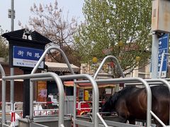 -天津五大道文化旅游区