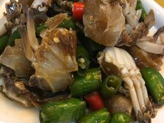 -新龙源大酒店(热河路店)