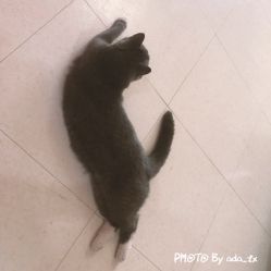 -Pink You美甲美睫纹绣定制中心