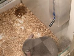 -龙猫仔乐园(惠福东路店)