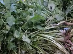奶茶-老柴削面(向阳里店)