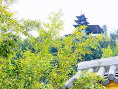 -广东天露山旅游度假区