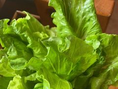 -潮汕美牛肉丸火锅店(天宁寺店)