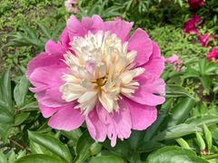 景点-长春公园(普阳街道)