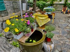 -三忘湖 SWANSEEN(柳荫公园店)