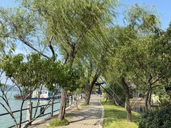 -无锡蠡湖国家湿地公园-蠡园