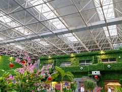 -兴芮温泉度假区