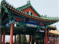-莲花池公园