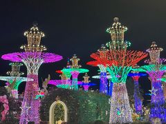 -富贵黄金屋