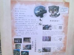 -青藏高原野生动物园