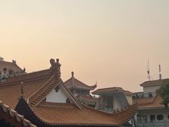 -深圳仙湖植物园