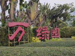 -万绿园