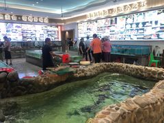 -小北江河鲜(新城店)