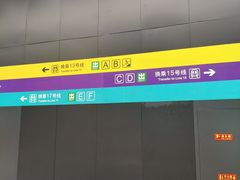 -望京西(地铁站)