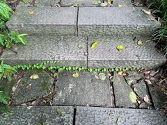 -杭州半山国家森林公园