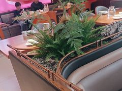 -老板恋上鱼(恒隆广场店)