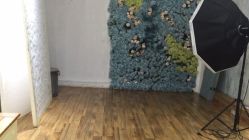 -星豆豆儿童摄影(南郊太白南路店)