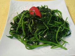 -鸽王世家(东华东路店)