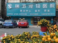 -东莞宠友24H宠物中心医院·转诊夜诊·异宠(新河北路院)
