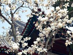 -湛山寺