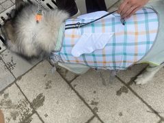 -安吉龙王山峡谷漂流