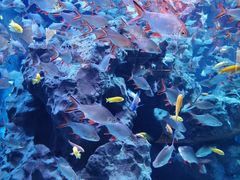 -成都浩海立方海洋公园