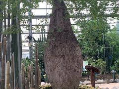 -南山植物园