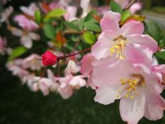 -浙江省中医院(钱塘院区)