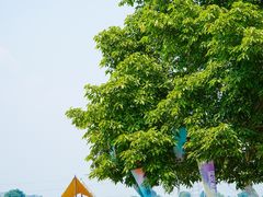 -云里小坐·海泉湾·团建·宴席·下午茶(金堂海泉湾店)