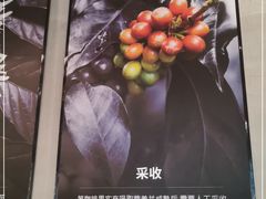 -漫咖啡(红唐店)