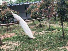 -宿豫区运河湾森林动物园