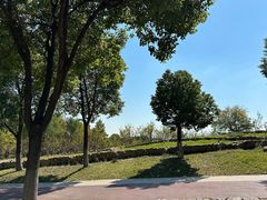 -滆湖低碳生态公园