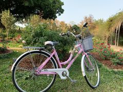 -人民公园(罗湖区)