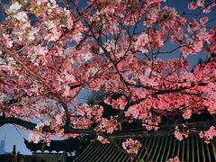 -鸡鸣寺