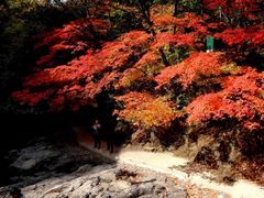 -关门山森林公园